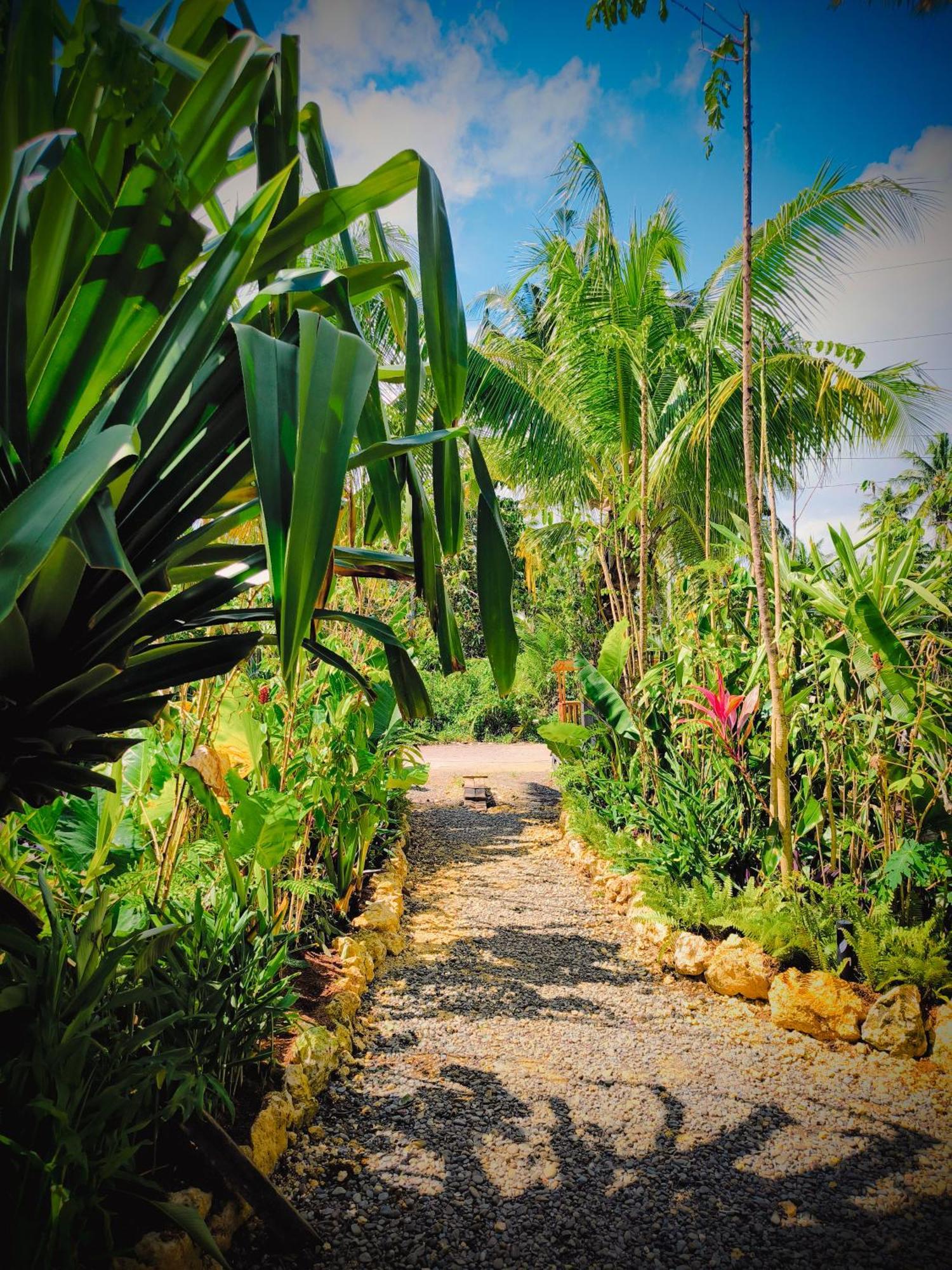 The Ohm Siargao Resort General Luna  Esterno foto