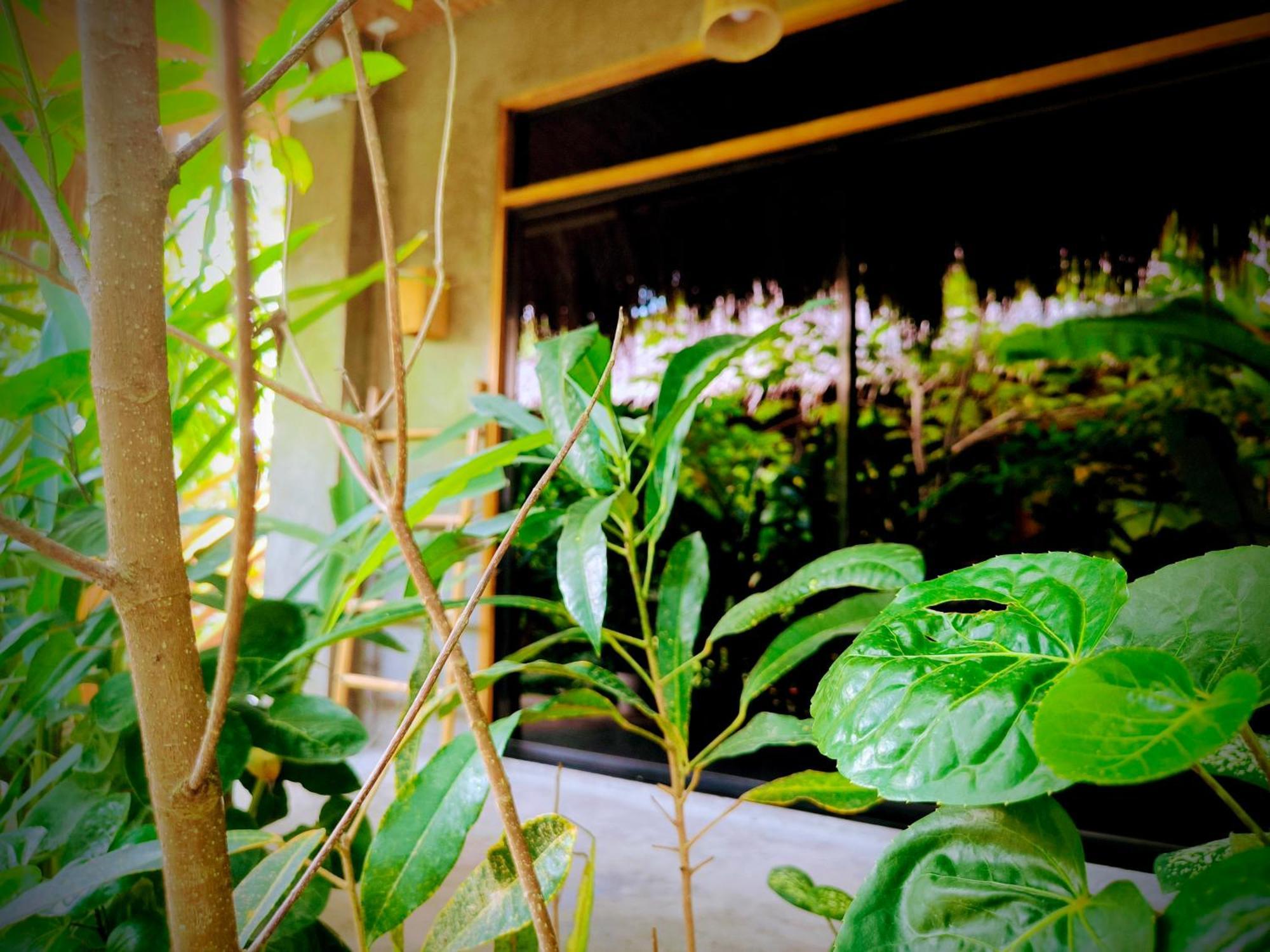 The Ohm Siargao Resort General Luna  Esterno foto