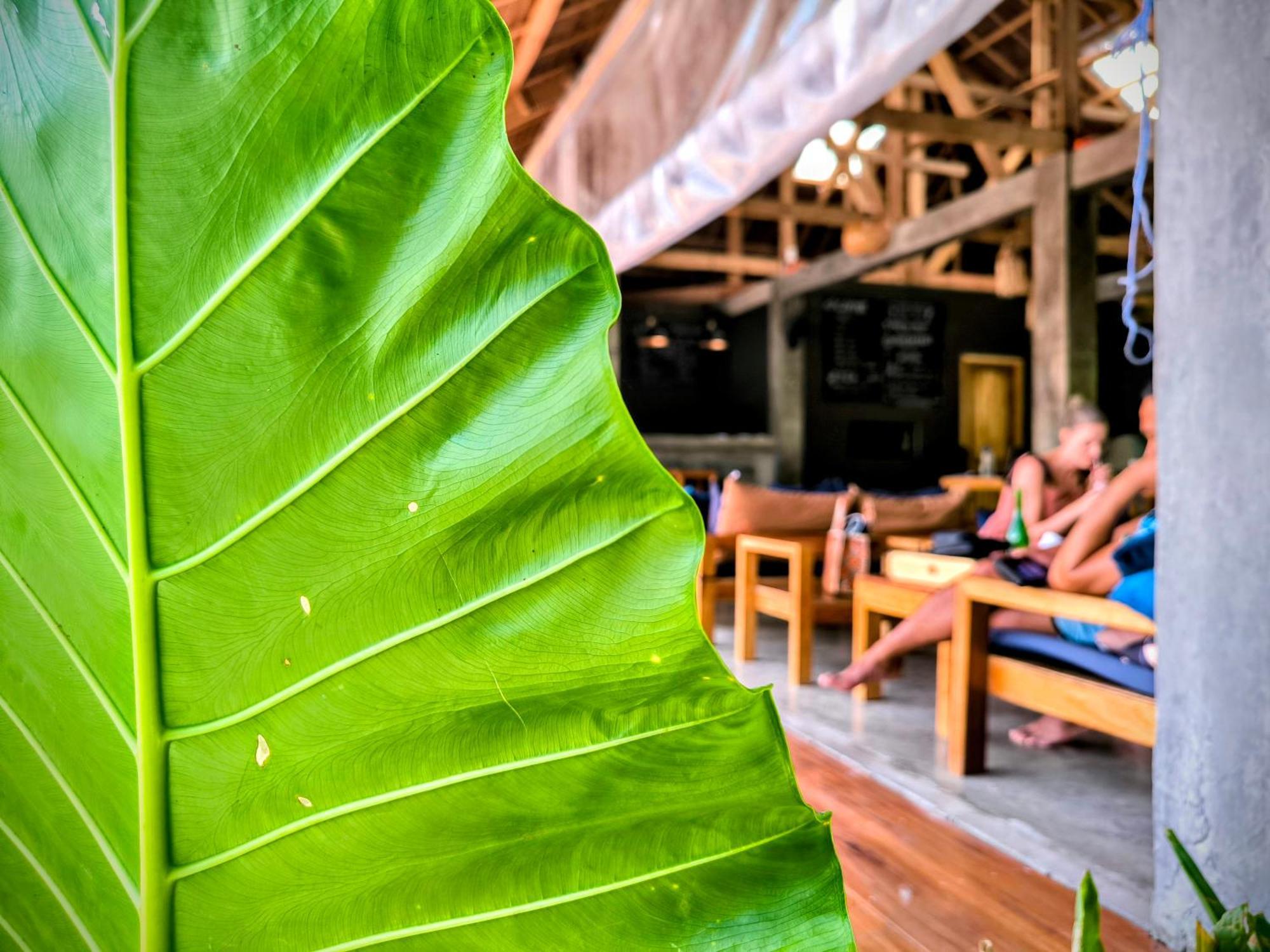 The Ohm Siargao Resort General Luna  Esterno foto